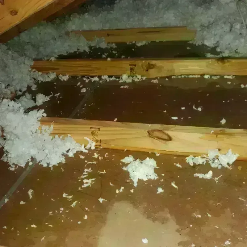 Attic Water Damage in Dayton, WA