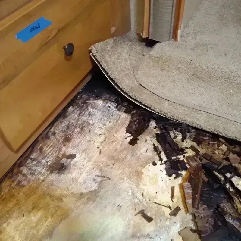 Wood Floor Water Damage in Dayton, WA